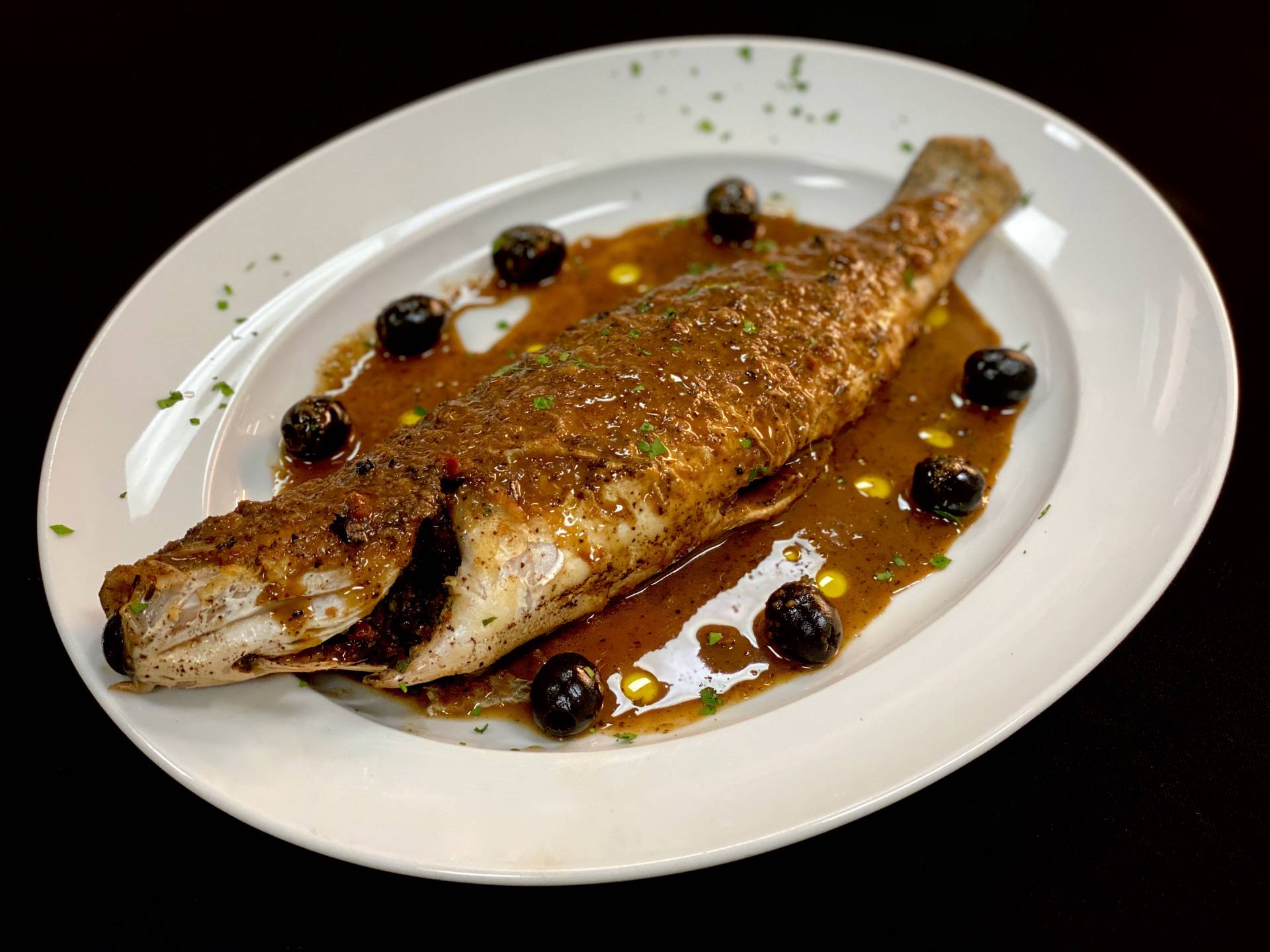 olivo banner image 4